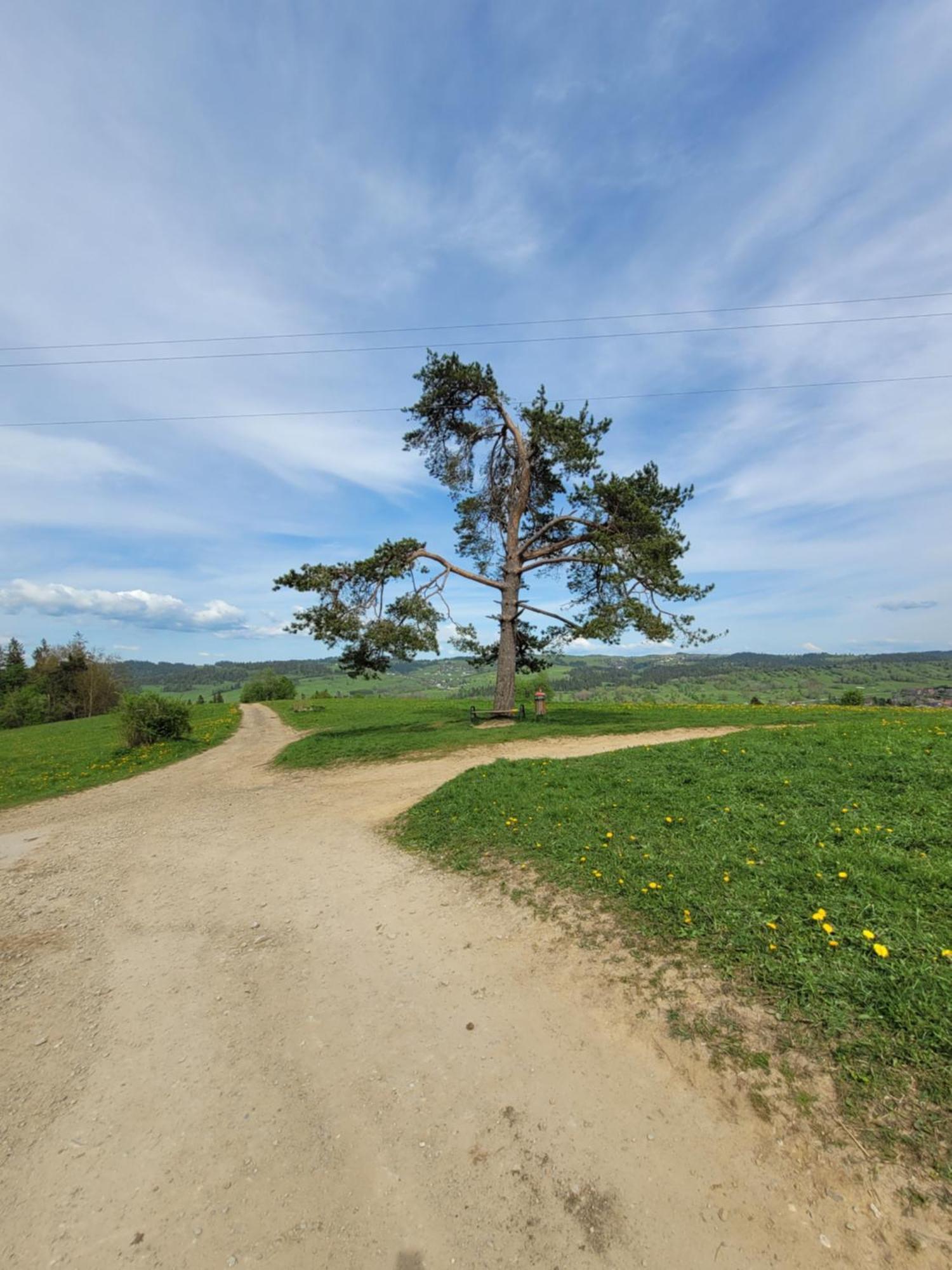 Pokoje U Julki Bukowina Tatrzańska Esterno foto