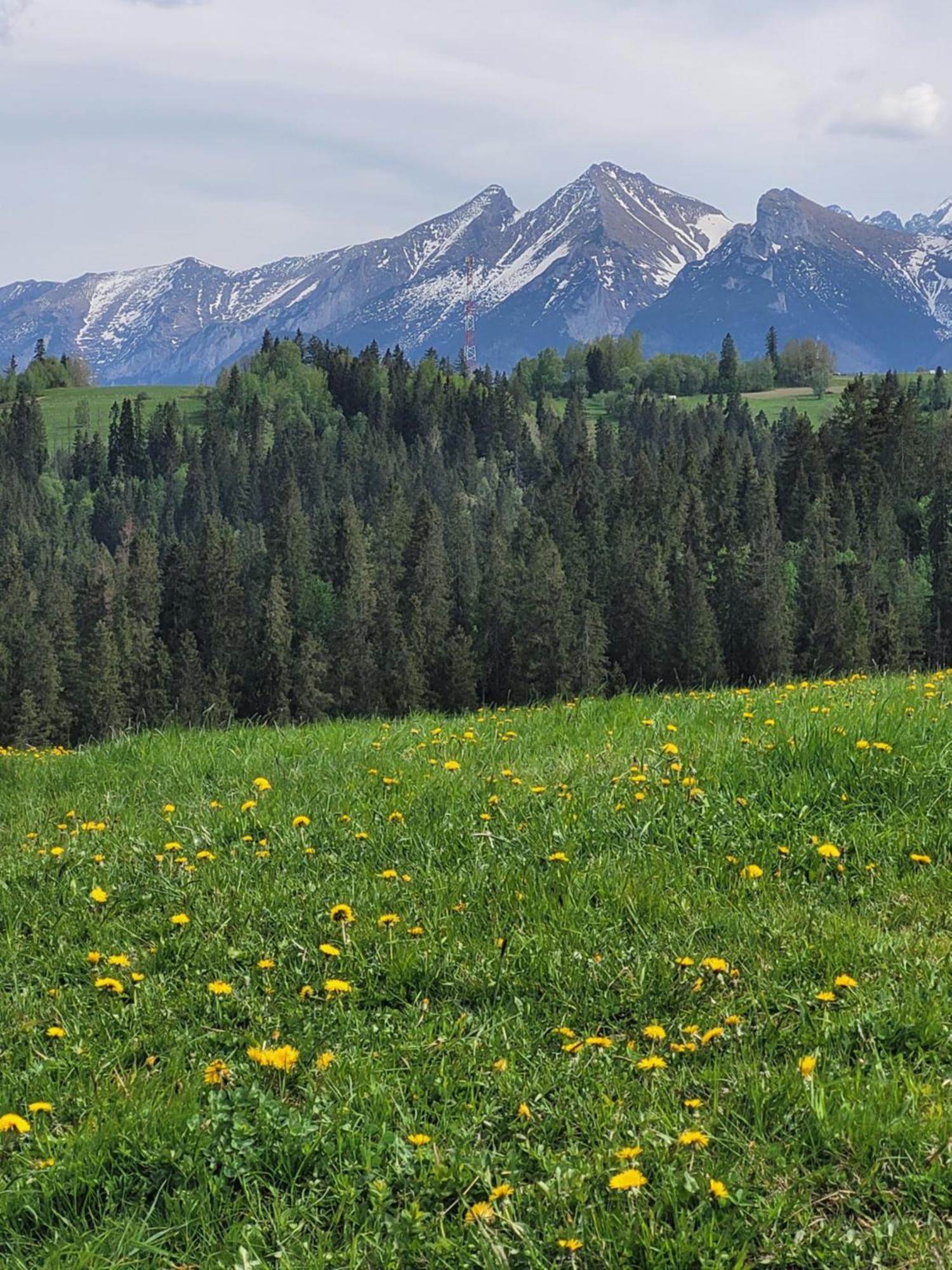 Pokoje U Julki Bukowina Tatrzańska Esterno foto